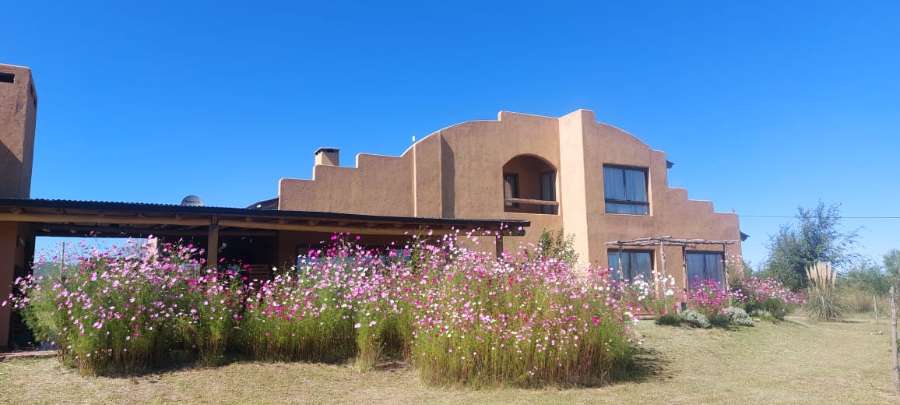 Campo  Los Reartes - Imagen