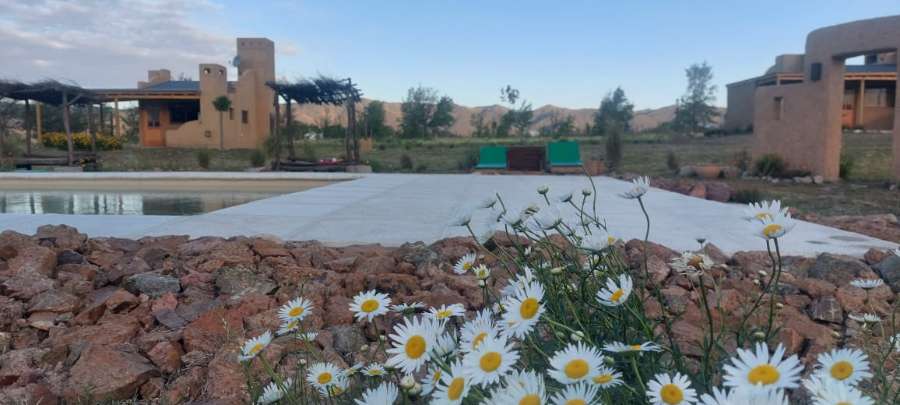 Campo  Los Reartes - Imagen