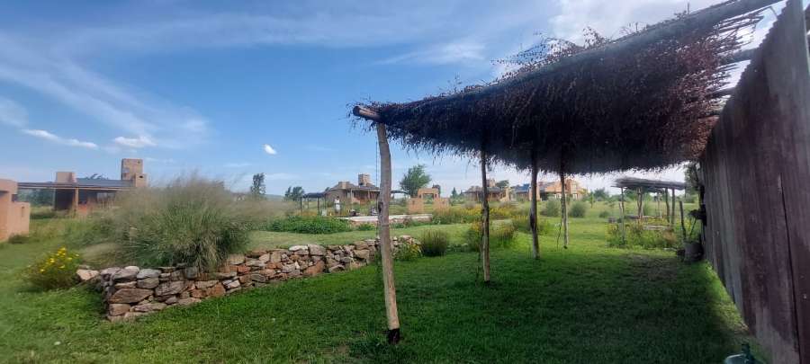 Campo  Los Reartes - Imagen