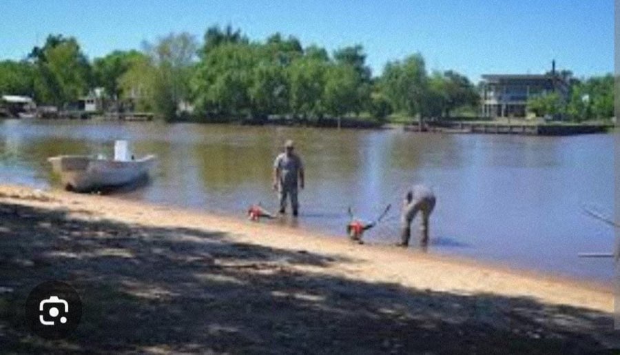 Terreno en Venta en Ibicuy · frente 15 m · largo 30 m · 450 m² de lote · dueño directo - Imagen 1