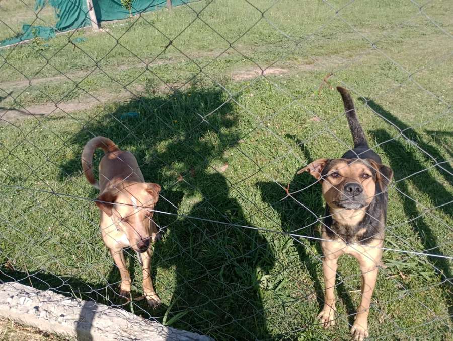 Terreno  Francisco Alvarez - Imagen