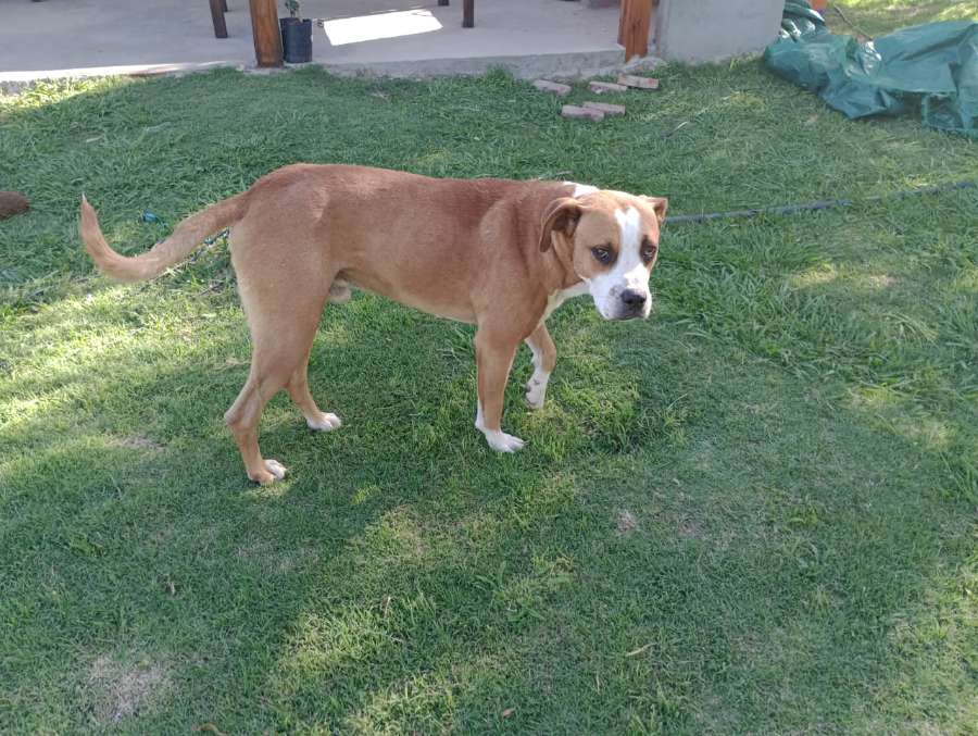 Terreno  Francisco Alvarez - Imagen