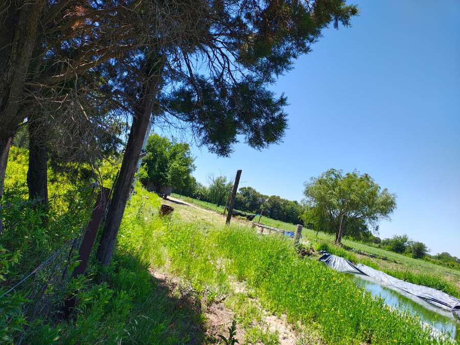 Terreno en Venta Cno 60 Cuadras Km 12 , Córdoba - Imagen 2