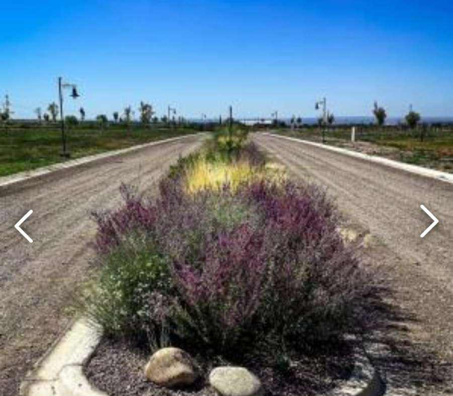 Lote en Venta Rp88, M5561 Tupungato, Mendoza, Tupungato - Imagen 2