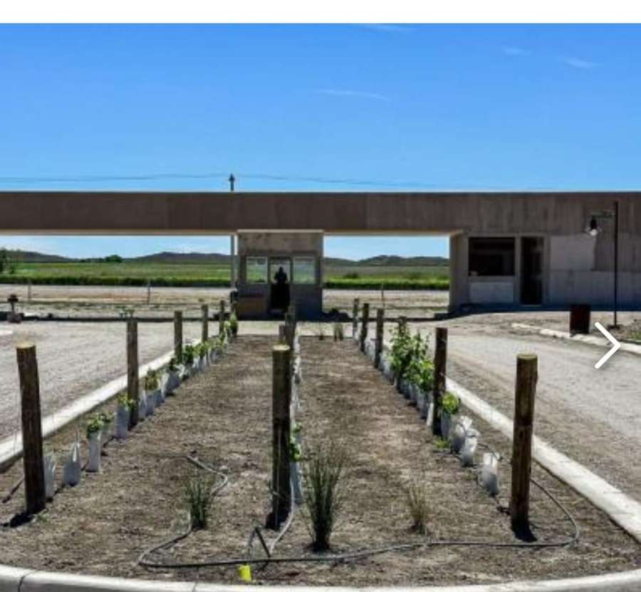 Oportunidad: Terreno en Venta en Tupungato · 1.000 m² de lote · barrio privado - Imagen 1