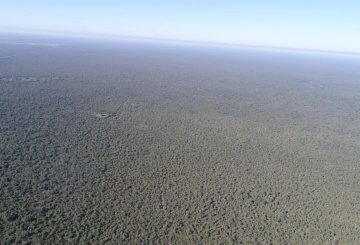 Excelente Campo en Santiago del Estero en Venta · dueño directo · 37.000 ha - Imagen 5