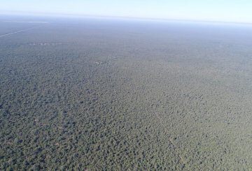 Excelente Campo en Santiago del Estero en Venta · dueño directo · 37.000 ha - Imagen 2