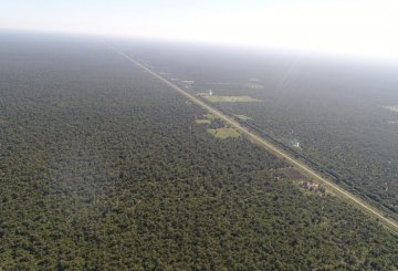 campo en santiago del estero excelente zona maderera   hectareas acceso - Imagen 1