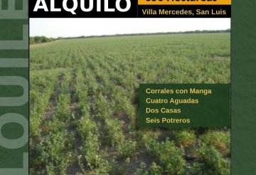  caracteristicas  hectáreas  hectáreas laborables resto monte abierto agua - Villa Mercedes - Imagen 1