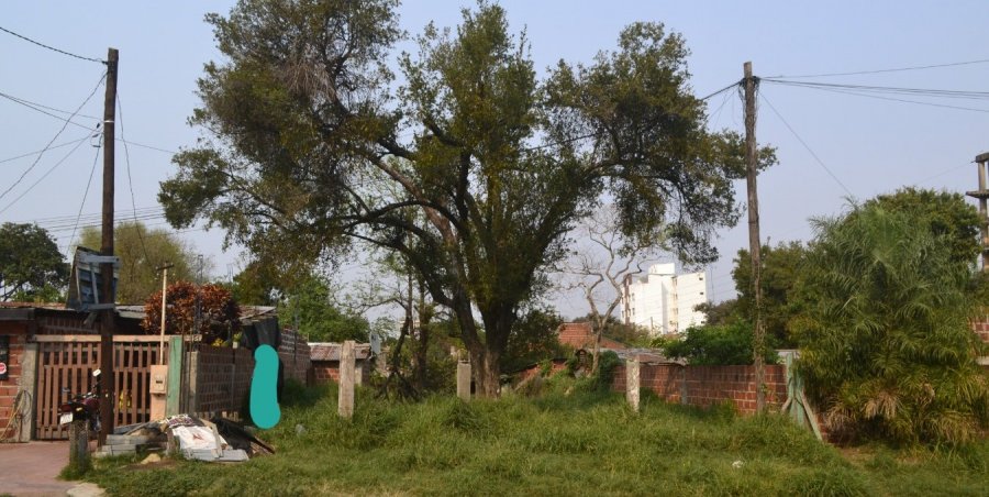 Terreno  Posadas - Imagen