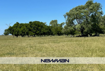 Campo en Venta en Maipu con · 1.063 ha - Imagen 5