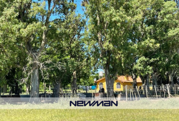 Campo en Venta en Maipu con · 1.063 ha - Imagen 3