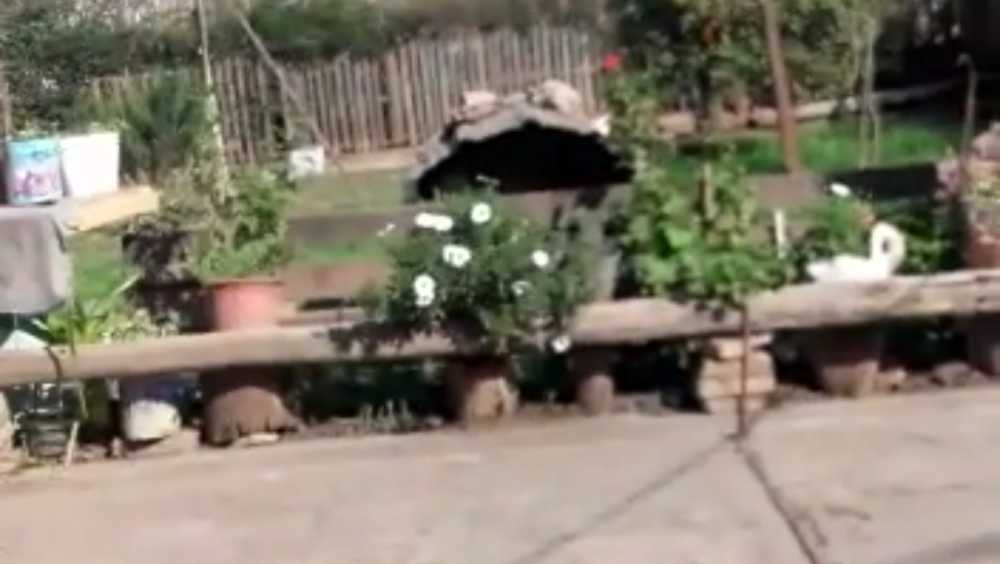 Casa en Venta en Pilar, · dueño directo · 3 dorm · cochera · 400 m² de lote - Imagen 2