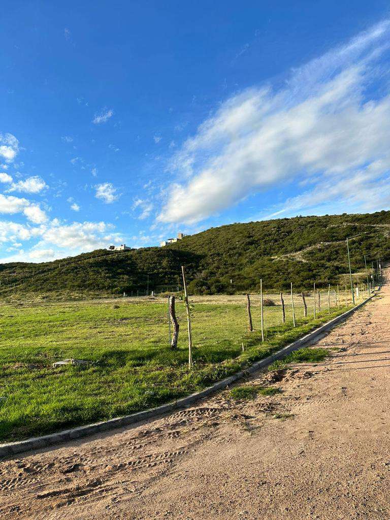 Lote en Venta Avenida Cruz De Piedra, Juana Koslay - Imagen 6