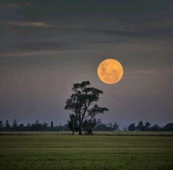 Casa en Venta Calle 86 Y 33 , Miramar - Imagen 10