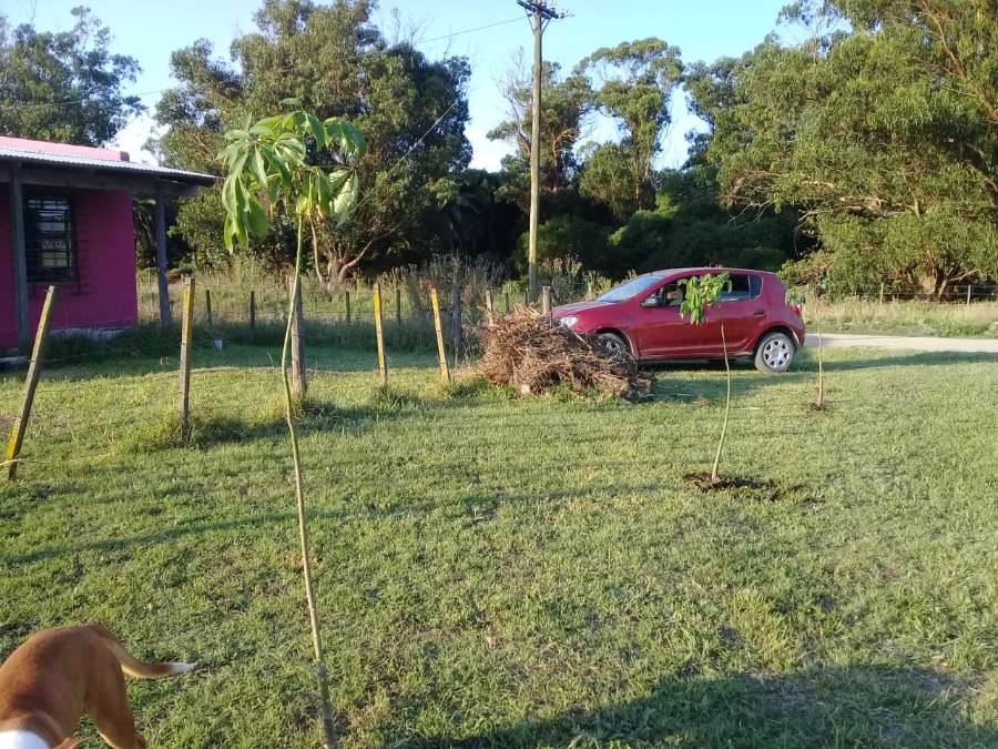 Casa en Venta Calle 86 Y 33 , Miramar - Imagen 11