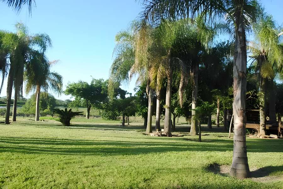 Campo  Esquina - Imagen
