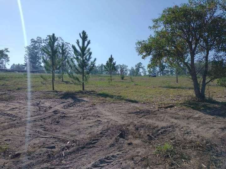 Tu próximo Terreno en Venta en Esquina · frente 50 m · largo 20 m · 1.000 m² de lote · dueño directo - Imagen 4