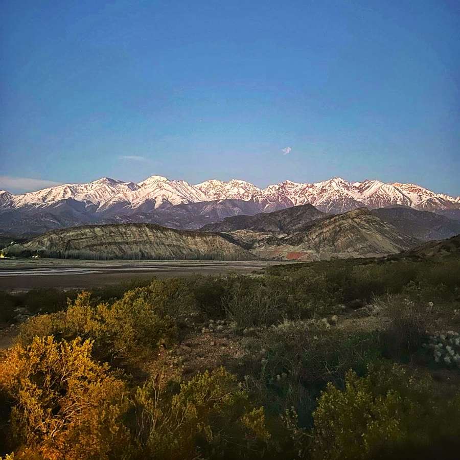 Campo en Venta en Lujan de Cuyo, · dueño directo - Imagen 2