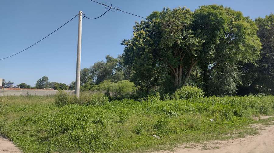 Florencio Sanchez 1950, 