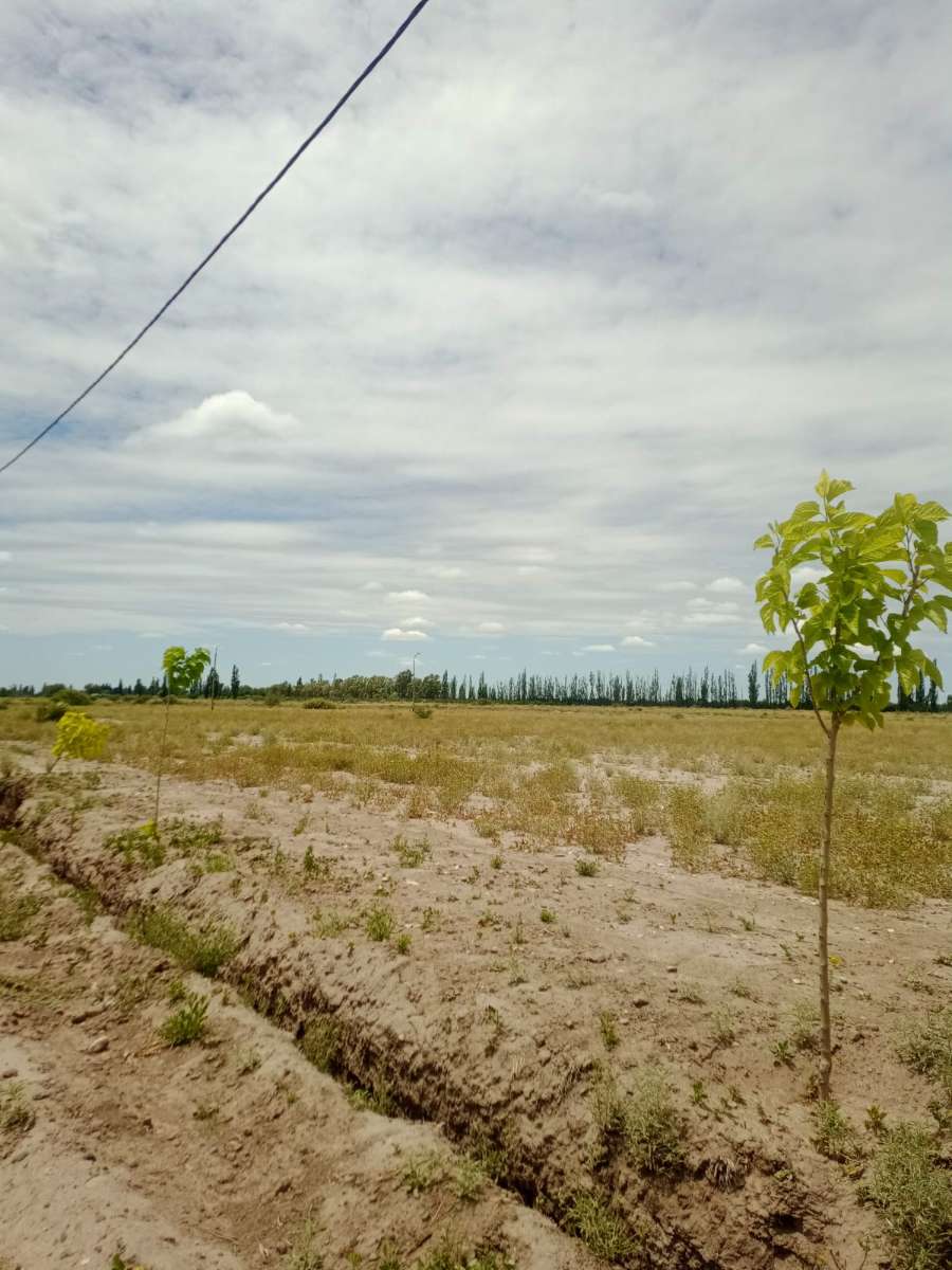 Terreno  San Rafael - Imagen