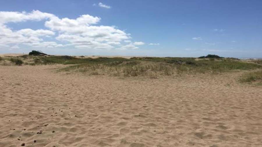 Campo en San Clemente del Tuyu para en Venta · dueño directo · 6 ha - Imagen 4