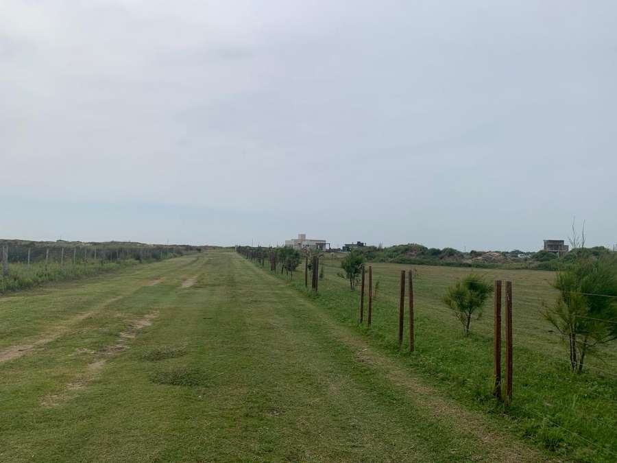 Campo  San Clemente del Tuyu - Imagen