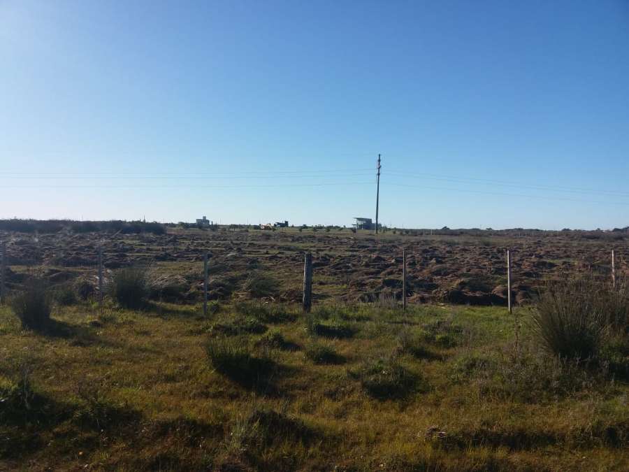 Campo  San Clemente del Tuyu - Imagen
