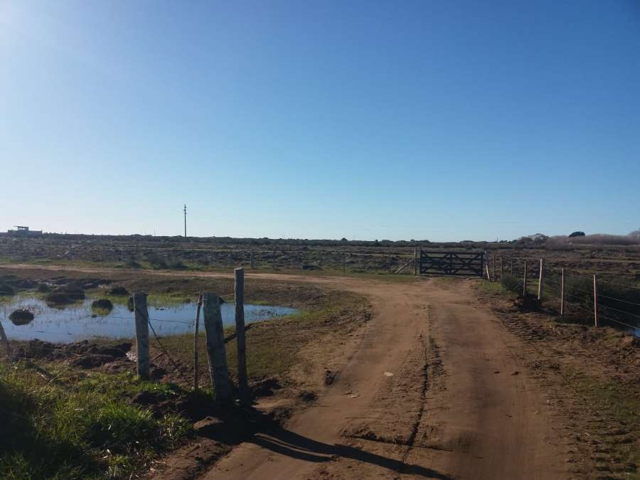 Campo  San Clemente del Tuyu - Imagen