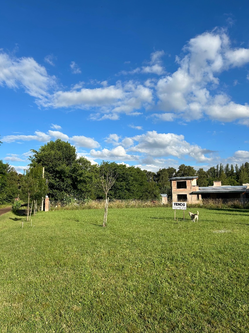 Salvador Maria. Lobos. , 