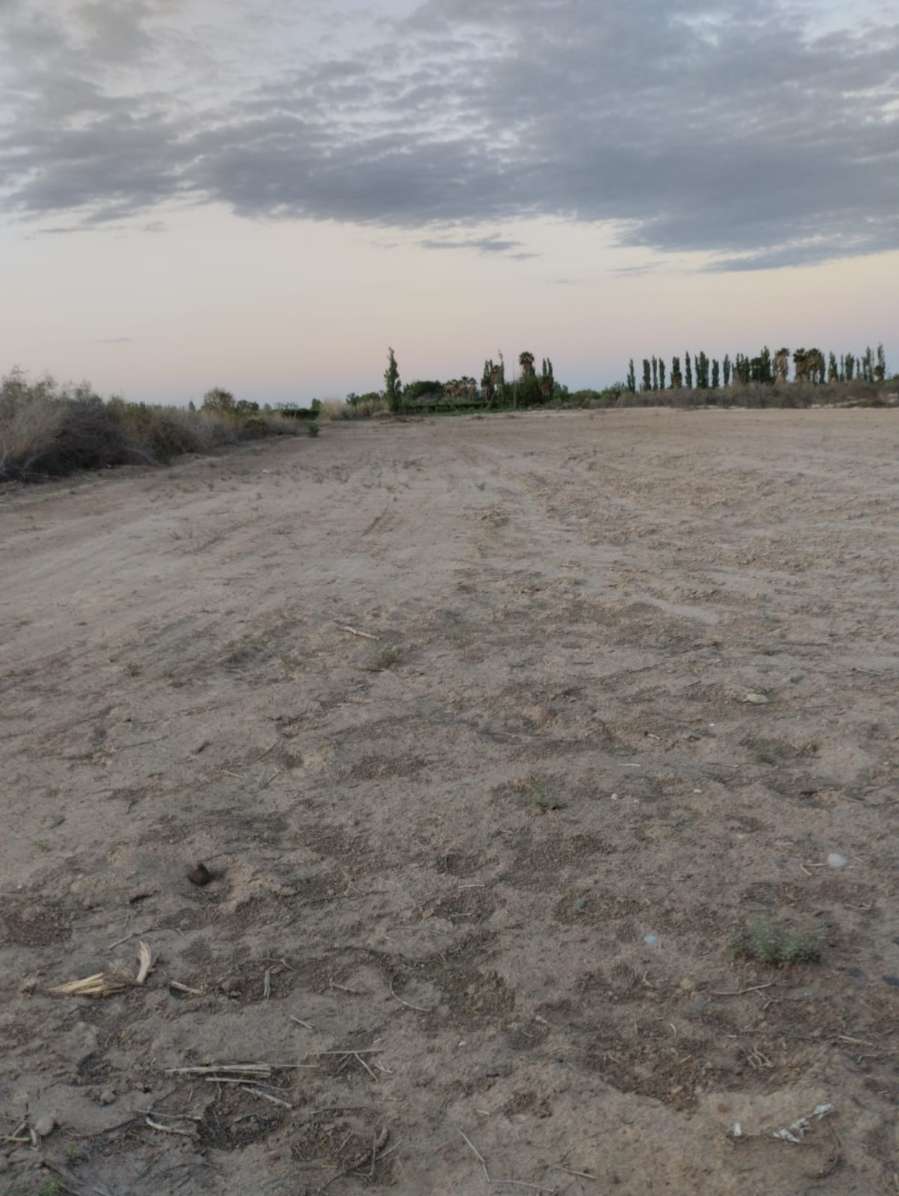 Terreno  Chimbas - Imagen