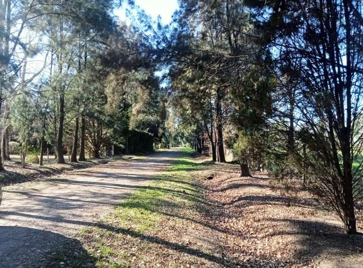 Terreno en Roldan en Venta · frente 25 m · largo 100 m · 2.500 m² de lote · barrio privado - Imagen 2