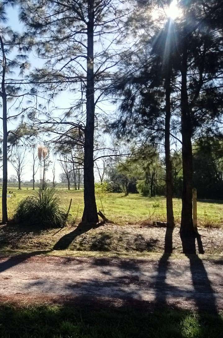 Terreno  Roldan - Imagen