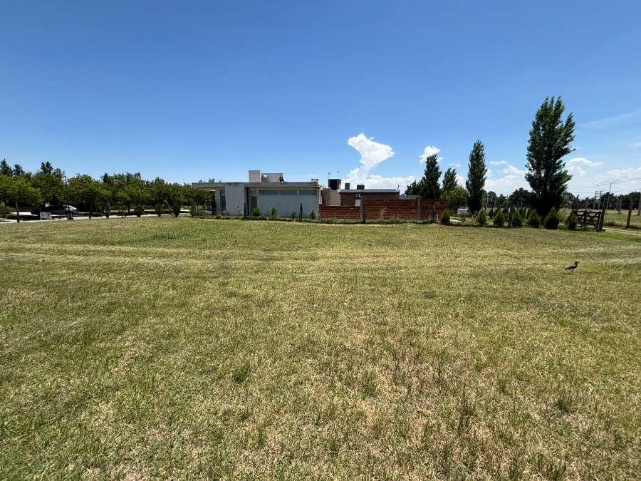 Terreno  Holmberg - Imagen