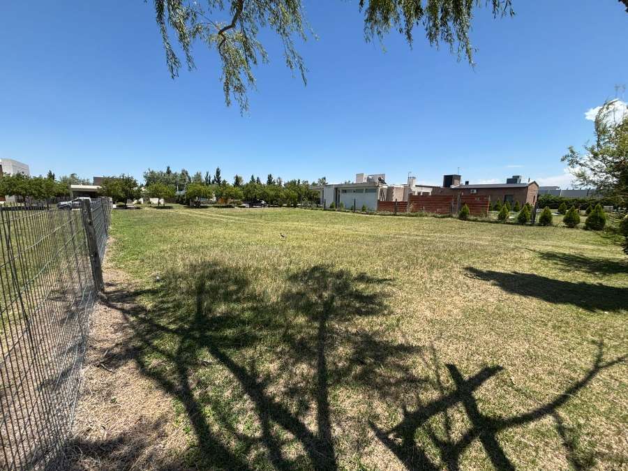 Terreno  Holmberg - Imagen