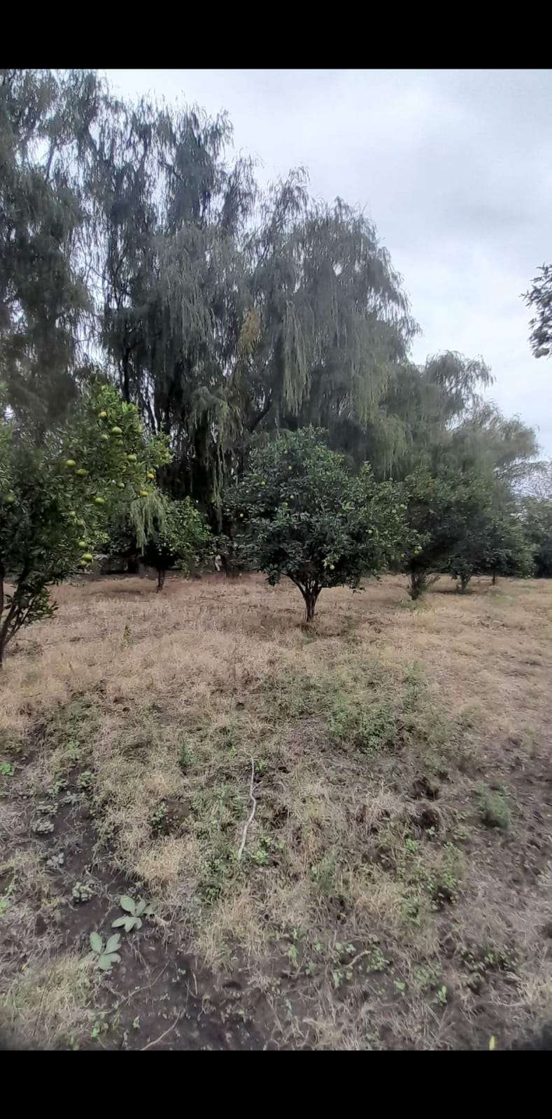 Tu próximo Campo en Venta en San Fernando del Valle de Catamarca · dueño directo · 2 dorm · 16 ha - Imagen 2