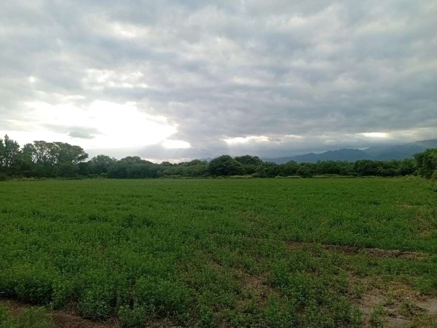 Tu próximo Campo en Venta en San Fernando del Valle de Catamarca · dueño directo · 2 dorm · 16 ha - Imagen 4