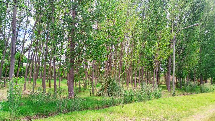 Tu próximo Terreno en Venta en Tunuyan · 1.000 m² de lote · barrio privado · dueño directo - Imagen 2