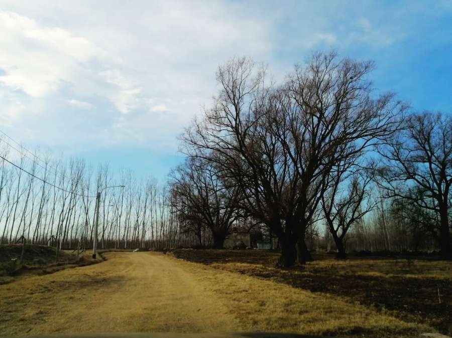 Tu próximo Terreno en Venta en Tunuyan · 1.000 m² de lote · barrio privado · dueño directo - Imagen 3